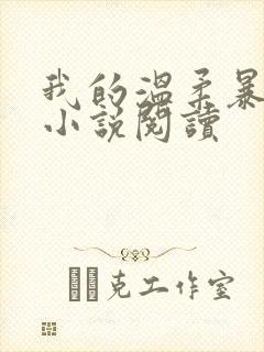 我的温柔暴君 小说阅读