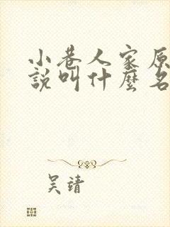 小巷人家原著小说叫什么名字