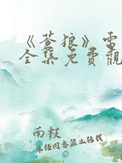 《苍狼》电视剧全集免费观看国语