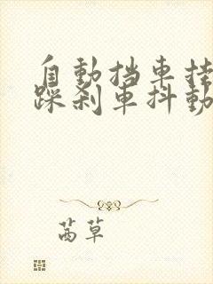 自动挡车挂d档踩刹车抖动正常吗