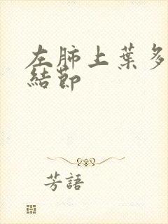 左肺上叶多发微结节