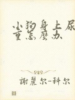 小狗身上尿骚味重怎么办