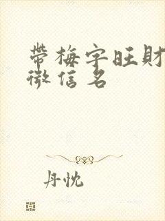 带梅字旺财旺运微信名