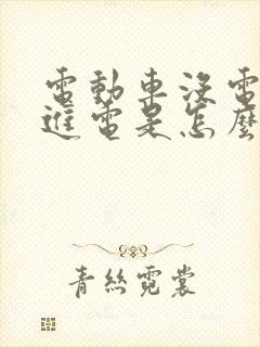 电动车没电充不进电是怎么回事