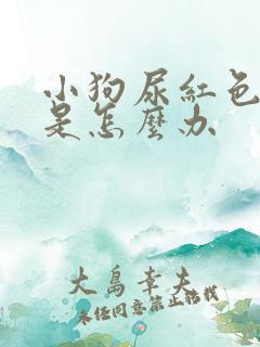 小狗尿红色的尿是怎么办