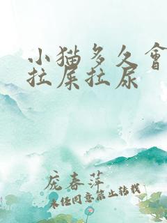 小猫多久会自己拉屎拉尿