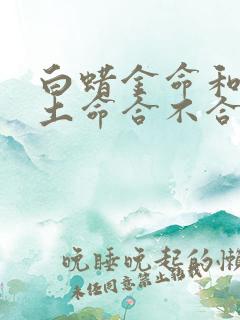 白蜡金命和城墙土命合不合