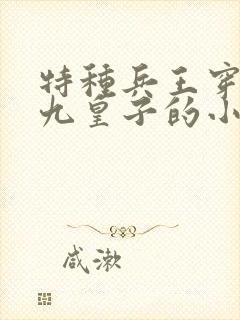 特种兵王穿越成九皇子的小说