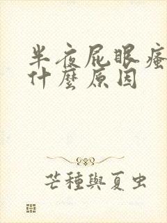 半夜屁眼瘙痒是什么原因