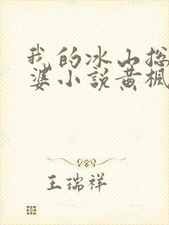 我的冰山总裁老婆小说黄枫雨天