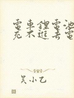 电车锂电池亏电充不进去电怎么办