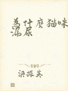 为什么猫咪一直漏尿