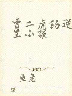 贾二虎的逆袭人生小说