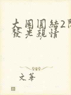 大团圆结2闪闪发光亲情