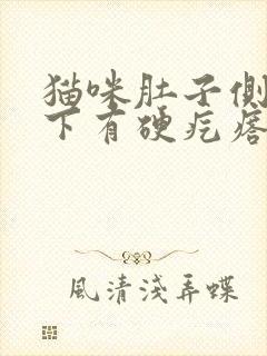 猫咪肚子侧面皮下有硬疙瘩