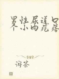 男性尿道口内长个小肉疙瘩是怎么回事