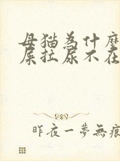 母猫为什么乱拉屎拉尿不在猫砂盆里