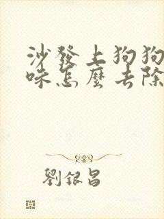 沙发上狗狗尿骚味怎么去除