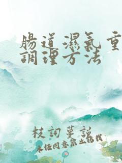 肠道湿气重怎样调理方法