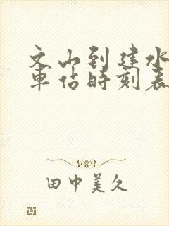 文山到建水的汽车站时刻表