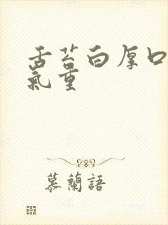 舌苔白厚口苦湿气重