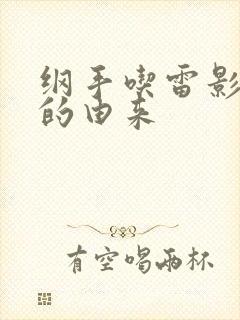 纲手吃雷影大狙的由来