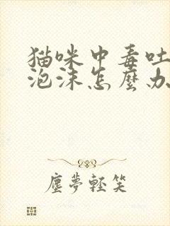 猫咪中毒吐白色泡沫怎么办