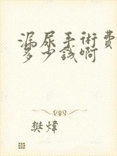 漏尿手术费用是多少钱啊