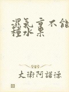 湿气重不能吃那种水果