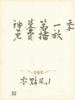 神墓第一季全集免费播放