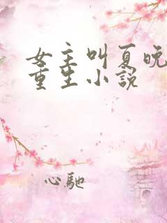 女主叫夏晚晚的重生小说