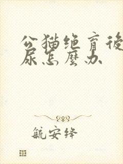 公猫绝育后还乱尿怎么办