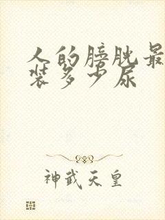 人的膀胱最多能装多少尿