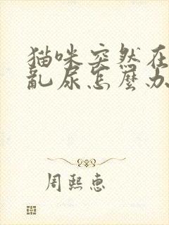 猫咪突然在家里乱尿怎么办