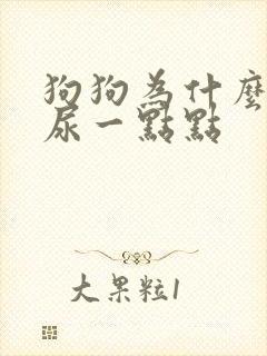 狗狗为什么到处尿一点点