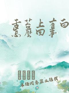 舌苔上有白的是怎么回事