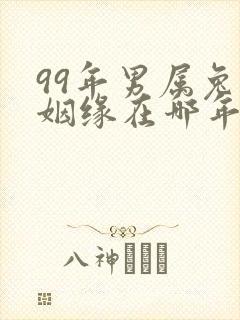 99年男属兔的姻缘在哪年