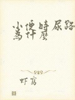 小便时尿路疼是为什么