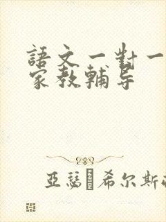 语文一对一上门家教辅导