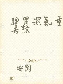 脾胃湿气重怎么去除