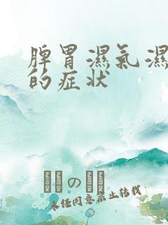 脾胃湿气湿热重的症状