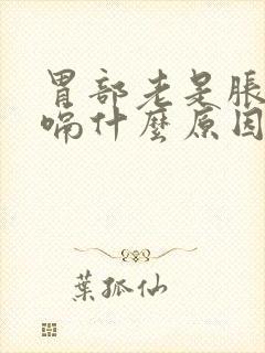 胃部老是胀气打嗝什么原因