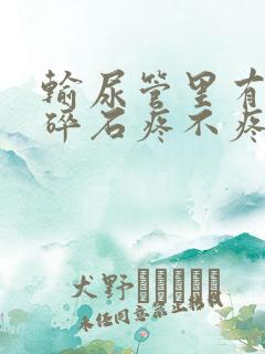 输尿管里有结石碎石疼不疼