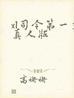 xl司令第一季真人版