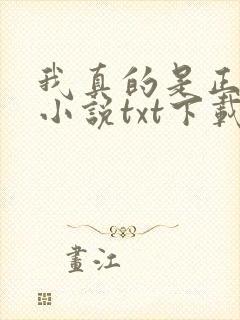 我真的是正派 小说txt下载