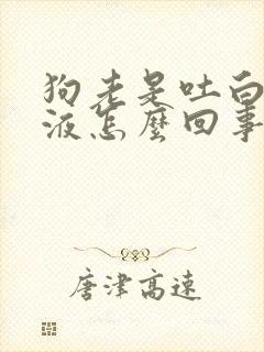 狗老是吐白色粘液怎么回事