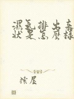 湿气排出来的症状是怎么样的