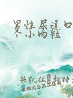 男性尿道口有两个小肉粒