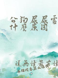 公狗尿尿处流血什么原因