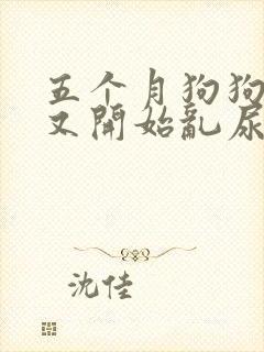 五个月狗狗突然又开始乱尿